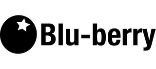 BLU-BERRY logo