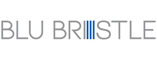 BLU BRISTLE logo