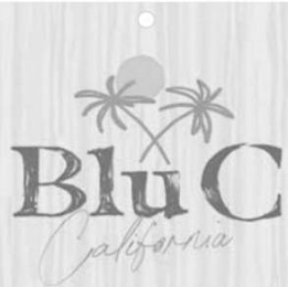 BLU C CALIFORNIA logo