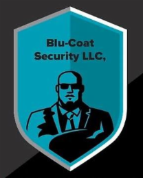BLU-COAT SECURITY LLC, logo