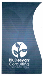 BLU DESYGNCONSULTING WORKING FOR ANSWERS TO YOUR ACADEMIC PROBLEMS. TOGETHER. logo