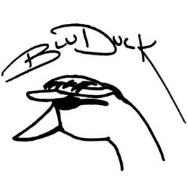 BLU DUCK logo