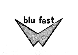BLU FAST logo