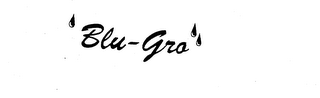 BLU-GRO logo