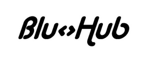 BLU HUB logo