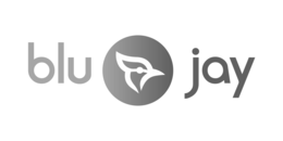 BLU JAY logo