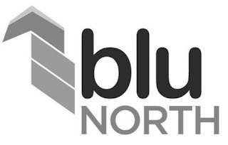 BLU NORTH logo