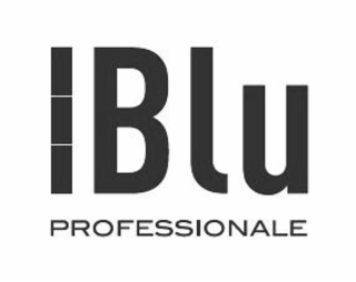 BLU PROFESSIONALE logo