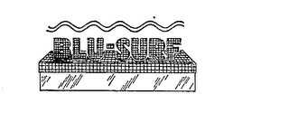 BLU-SURF logo