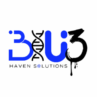 BLU3 HAVEN SOLUTIONS logo