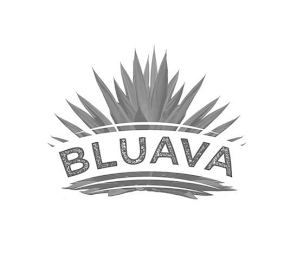 BLUAVA logo