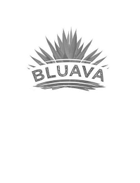 BLUAVA logo