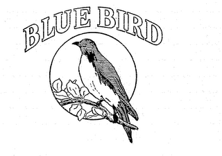 BLUE BIRD logo