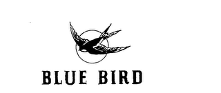 BLUE BIRD logo