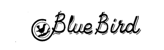 BLUE BIRD logo