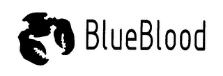 BLUE BLOOD logo