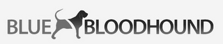 BLUE BLOODHOUND logo