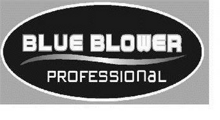 BLUE BLOWER PROFESSIONAL logo