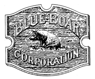 BLUE BOAR CORPORATION logo