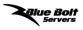 BLUE BOLT SERVERS logo