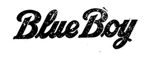 BLUE BOY logo