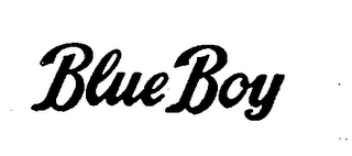BLUE BOY logo