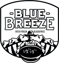BLUE BREEZE FRESH FROZEN BLUEBERRIES logo