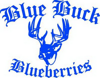 BLUE BUCK BLUEBERRIES logo