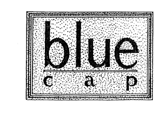 BLUE C A P logo
