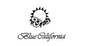 BLUE CALIFORNIA logo