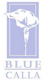 BLUE CALLA logo