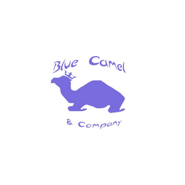 BLUE CAMEL & COMPANY logo