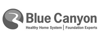 BLUE CANYON HEALTHY HOME SYSTEM FOUNDATION EXPERTS logo