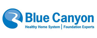 BLUE CANYON HEALTHY HOME SYSTEM FOUNDATION EXPERTS logo