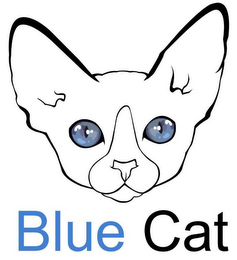 BLUE CAT logo