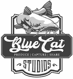 BLUE CAT PRODUCE CAPTURE SHARE STUDIOS logo