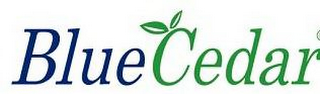 BLUE CEDAR logo