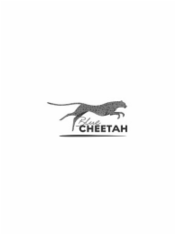 BLUE CHEETAH logo