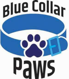 BLUE COLLAR PAWS logo