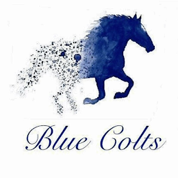 BLUE COLTS logo
