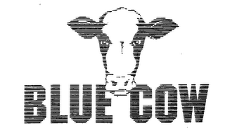 BLUE COW logo