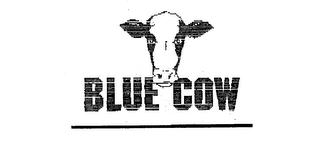 BLUE COW logo