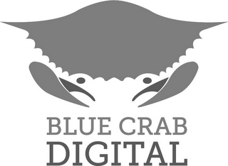 BLUE CRAB DIGITAL logo