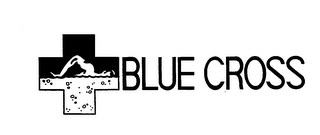 BLUE CROSS logo