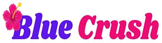 BLUE CRUSH logo