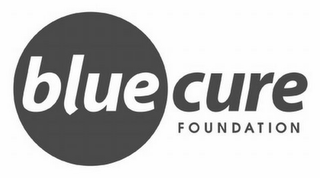 BLUE CURE FOUNDATION logo