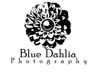 BLUE DAHLIA PHOTOGRAPHY logo