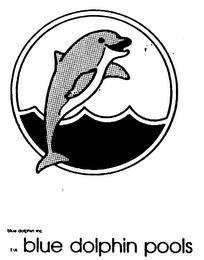 BLUE DOLPHINS POOL logo