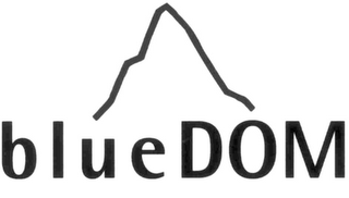 BLUE DOM logo