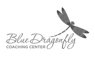 BLUE DRAGONFLY COACHING CENTER logo